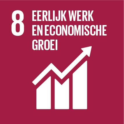 SDG8