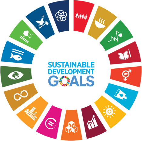 SDG viel iconen + logo transparant