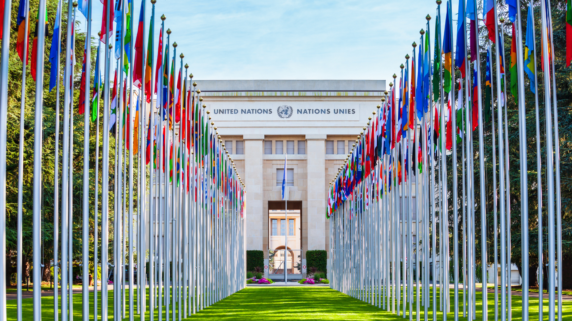 Verenigde Naties en Rechten van de Mens